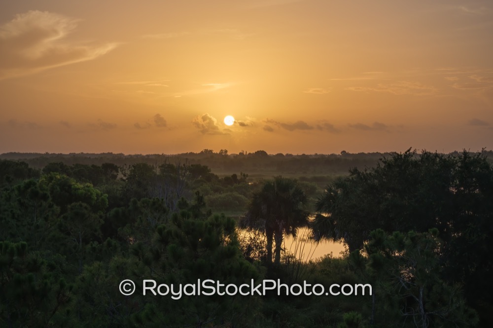 Morning Light Illuminates Transcendent Wildlife Habitats at Wellington Environmental Preserve in Loxahatchee Florida on Flying Cow Ranch Road 20190707