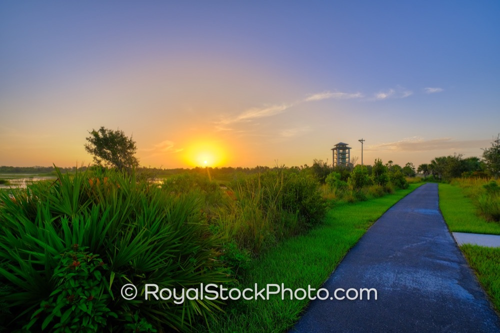 Elevated Wildscape Features Flourishing Habitats at Wellington Environmental Preserve During Sunrise on Flying Cow Ranch Road 20190707
