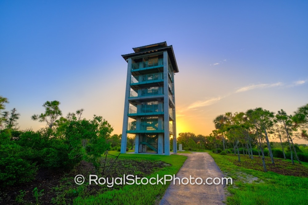Scenic Towers of Wellington Environmental Preserve Enhance Luxurious Living Near Loxahatchee at Sunrise on Flying Cow Ranch Road 20190707