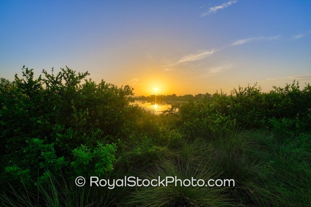Wildlife Enthusiasts Find Morning Bliss at Wellington Environmental Preserve in Loxahatchee Florida on Flying Cow Ranch Road 20190707
