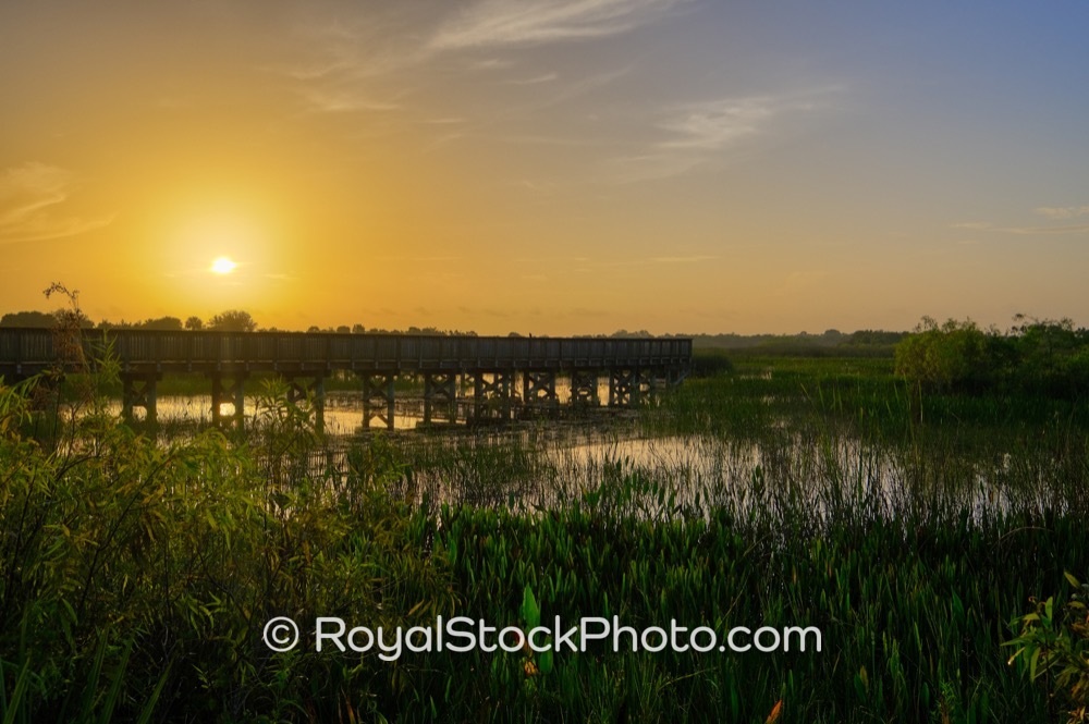 Experience the Beauty of Sunrise at Wellington Environmental Preserve a Hidden Gem in Loxahatchee on Flying Cow Ranch Road 20190707