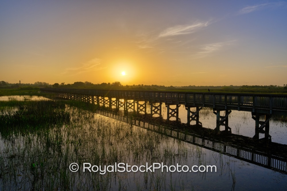 Spectacular Sunrise Bridge Access Highlights the Premier Lifestyle in Wellington Florida on Flying Cow Ranch Road 20190707