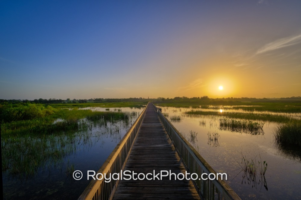 Waterfront Access and Recreation Opportunities at Wellington Environmental Preserve in Loxahatchee on Flying Cow Ranch Road 20190707