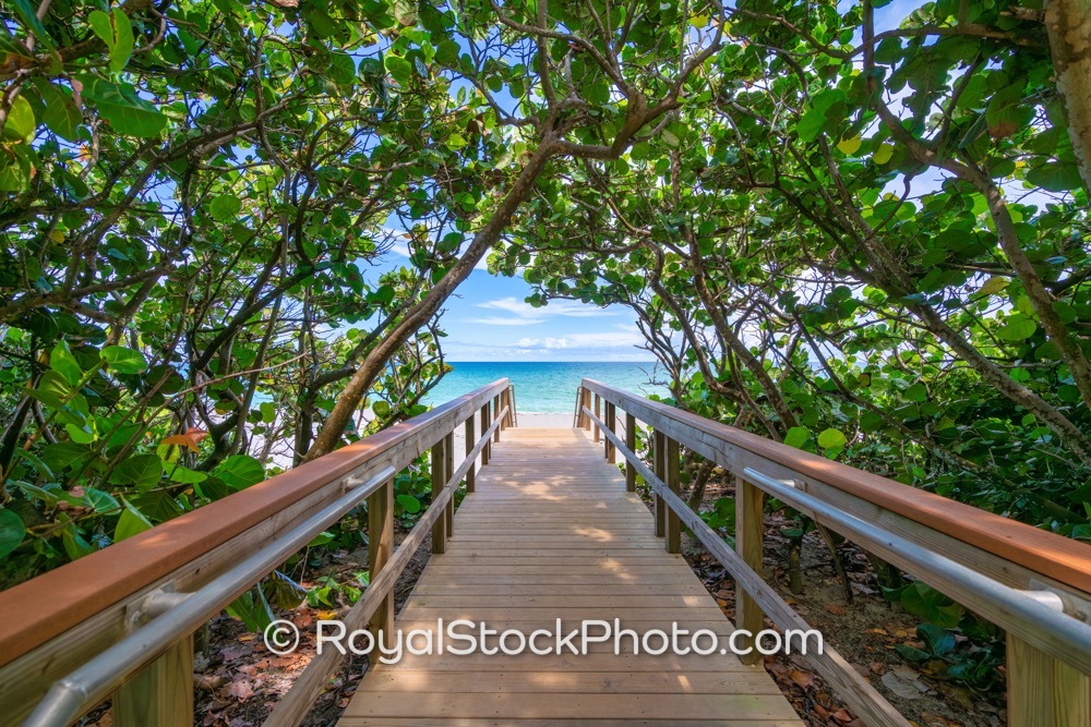 Coastal Recreational Access Features Lush Trail to Scenic Jupiter Beach in Florida on East Bonefish Circle 20200908