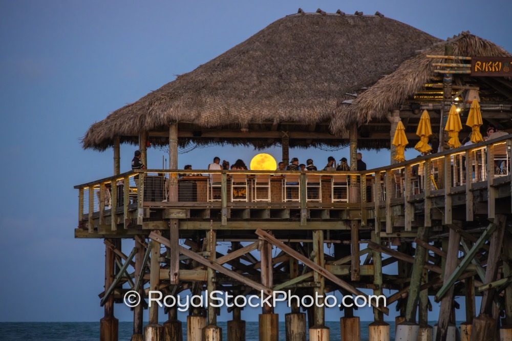 Preserve Coastal Wildlife and Vibrant Culture at Cocoa Beach Pier During Golden Hour on Meade Avenue 20260401