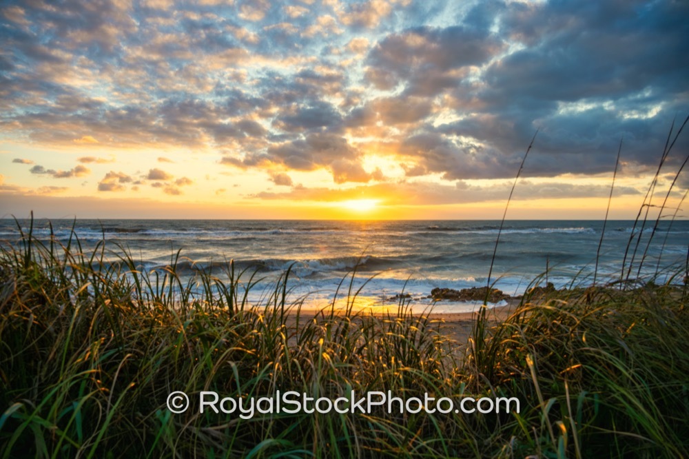 Coastal Relaxation and Recreational Possibilities Await Visitors at Coral Cove Park During Morning Light on South Beach Road 20260411