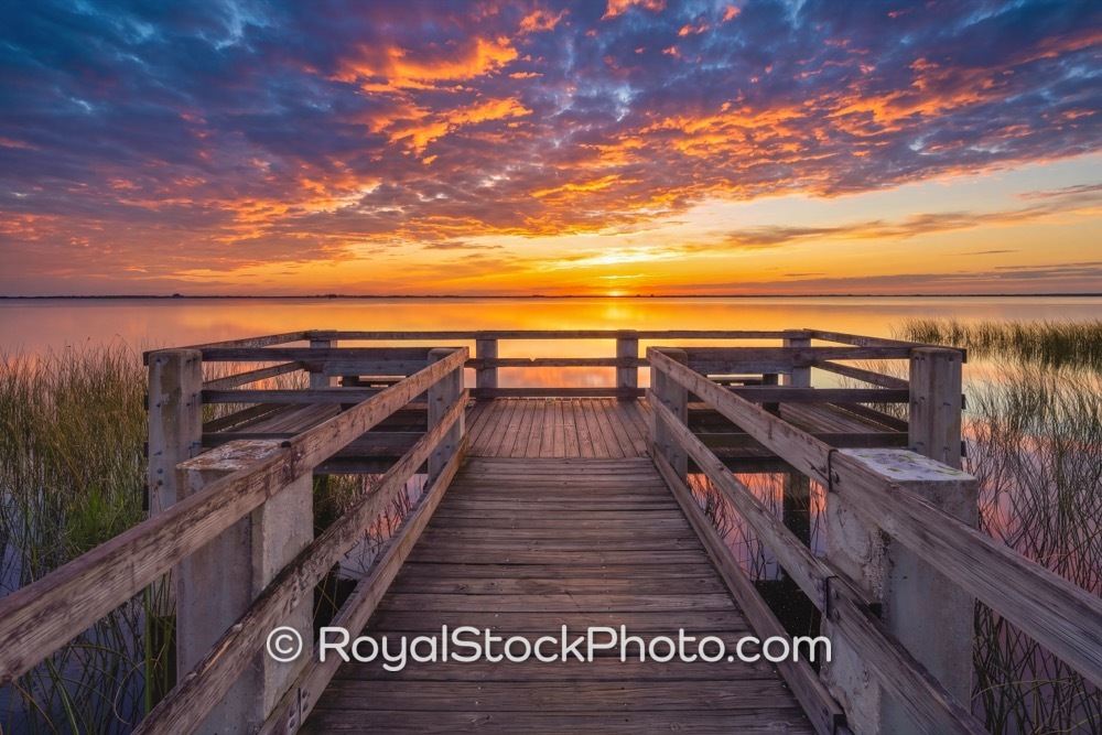 Visit Enchanting Lake Washington Park at Sunrise Perfect for Nature Lovers and Adventure Seekers on Lake Washington Road 20260425