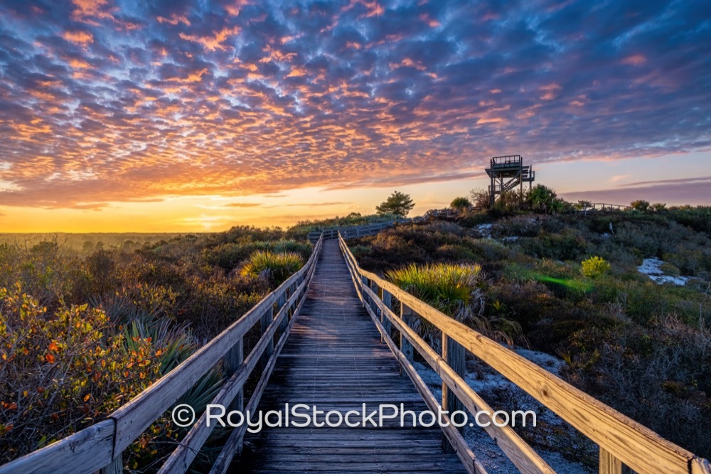 Scenic Sunset Views from the Observation Tower at Jonathan Dickinson State Park in Jupiter Island Florida on Park Road 20260302