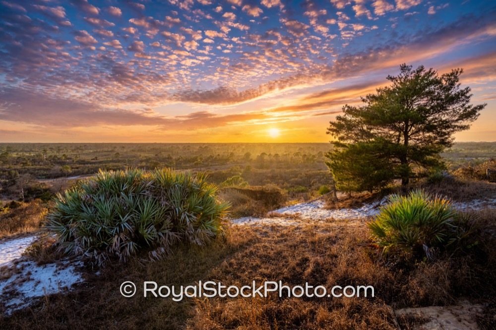 Indulge in the Coastal Charm of Blowing Rocks Preserve at Sunset in Jupiter Island Florida on Park Road 20260302