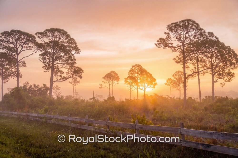Local Nature Park Features Breathtaking Sunrise Views Over Lush Florida Landscape on Malabar Road 20260428