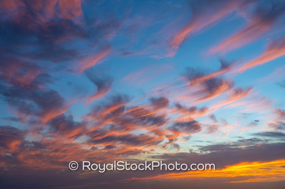 Coastal Living Promoting Incredible Sunset Views from Carlin White Bridge in Jupiter Florida on US 1 20260513
