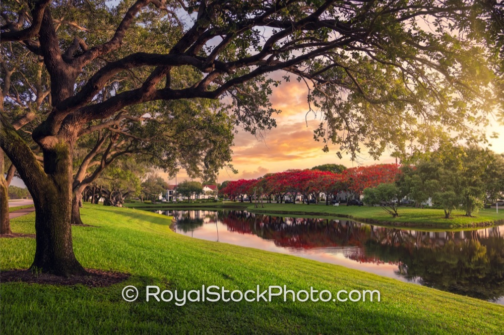 Morning Light Highlights Community Serenity at Waterfront Park in Palm Beach Gardens Florida on Coronado Way 20260530