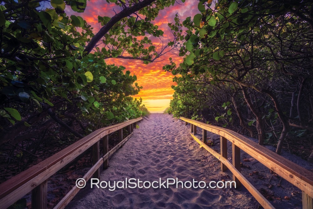 Explore Beautiful Sandy Path Leading to the Ocean at Beach Access in Jupiter Florida on Ocean Trail Way