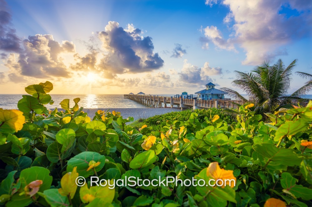 Enjoy Recreational Opportunities at Juno Beach Pier While Experiencing Sunrise Serenity on US Highway 1 20260628